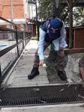 Disminuyen en un 70% los casos de dengue en Cali