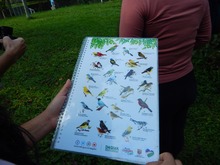 Con una &lsquo;pajareada&rsquo; nos sumamos a la protecci&oacute;n de la biodiversidad cale&ntilde;a