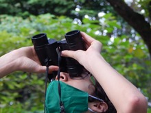 Con una &lsquo;pajareada&rsquo; nos sumamos a la protecci&oacute;n de la biodiversidad cale&ntilde;a
