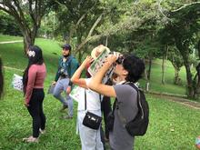 Con una &lsquo;pajareada&rsquo; nos sumamos a la protecci&oacute;n de la biodiversidad cale&ntilde;a