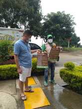 Contin&uacute;a control y manejo del caracol africano en comunas de Cali