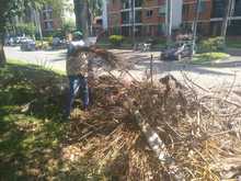 Contin&uacute;a control y manejo del caracol africano en comunas de Cali