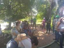 Contin&uacute;a control y manejo del caracol africano en comunas de Cali