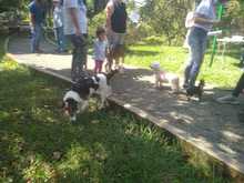 Contin&uacute;a control y manejo del caracol africano en comunas de Cali
