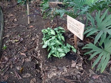 Huertas para la vida, un proyecto m&aacute;s all&aacute; de la soberan&iacute;a alimentaria