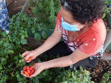 Huertas para la vida, un proyecto m&aacute;s all&aacute; de la soberan&iacute;a alimentaria