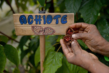 Huertas para la vida, un proyecto m&aacute;s all&aacute; de la soberan&iacute;a alimentaria