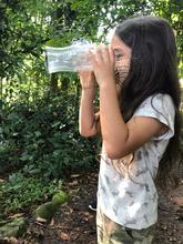 Cali, ciudad de las mariposas