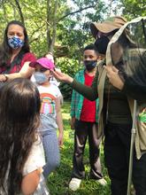 Cali, ciudad de las mariposas