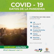 Datos de la pandemia