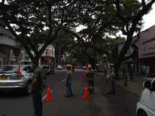 DAGMA atiende situaci&oacute;n de riesgo con &aacute;rbol de gran tama&ntilde;o  