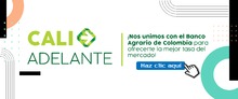 Banner adelante