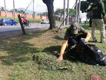 Siembra y restauraci&oacute;n de zonas verdes en nuestra amada Cali 