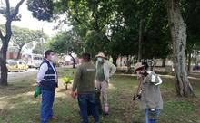 Siembra y restauraci&oacute;n de zonas verdes en nuestra amada Cali 