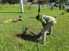 Siembra y restauraci&oacute;n de zonas verdes en nuestra amada Cali 