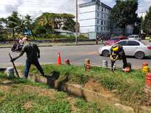 Siembra y restauraci&oacute;n de zonas verdes en nuestra amada Cali 