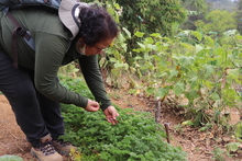 Hoy celebramos el D&iacute;a Mundial del Suelo y la Tierra F&eacute;rtil