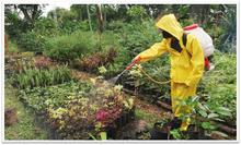 Hoy celebramos el D&iacute;a Mundial del Suelo y la Tierra F&eacute;rtil