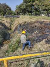 Dagma recupera corredor arb&oacute;reo del Puente de los Mil D&iacute;as