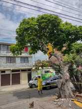 Rescatan reina en el norte de Cali