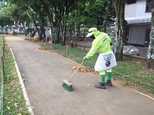 Prueba piloto para la recuperaci&oacute;n integral de los parques de Cali.