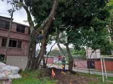 Jornada de recuperaci&oacute;n y embellecimiento en el barrio Hern&aacute;n Eladio P&eacute;rez de la comuna 18