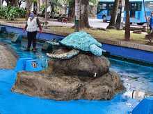 Renovado para disfrute de la comunidad, el Parque de Las Tortugas y la Infancia 