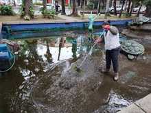 Renovado para disfrute de la comunidad, el Parque de Las Tortugas y la Infancia 