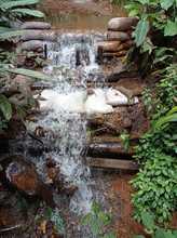 La Leonera, territorio de vida en la ruralidad