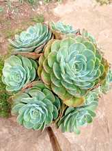 La Leonera, territorio de vida en la ruralidad