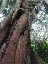 La Leonera, territorio de vida en la ruralidad