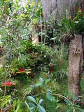 La Leonera, territorio de vida en la ruralidad