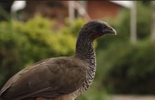 La Leonera, territorio de vida en la ruralidad