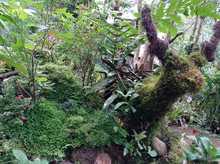 La Leonera, territorio de vida en la ruralidad