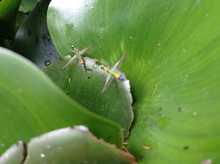 La Leonera, territorio de vida en la ruralidad