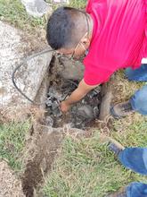 Movilidad trabaja en reposici&oacute;n del cableado de red semaf&oacute;rica