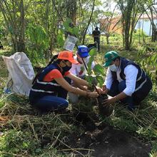 Restaurat&oacute;n ambiental en el Coraz&oacute;n de Pance