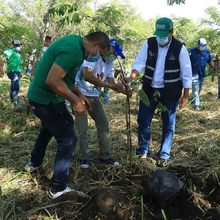 Restaurat&oacute;n ambiental en el Coraz&oacute;n de Pance