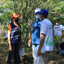Restaurat&oacute;n ambiental en el Coraz&oacute;n de Pance