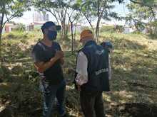 Art. 347 Infraestructura realiz&oacute; compensaci&oacute;n arb&oacute;rea de la ampliaci&oacute;n de la v&iacute;a a Pance