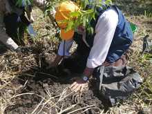 Art. 347 Infraestructura realiz&oacute; compensaci&oacute;n arb&oacute;rea de la ampliaci&oacute;n de la v&iacute;a a Pance