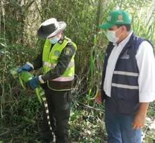 Dagma realiz&oacute; liberaci&oacute;n de especies silvestres rehabilitadas