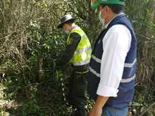 Dagma realiz&oacute; liberaci&oacute;n de especies silvestres rehabilitadas