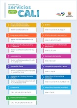 Servicios CALI adicionales_Mailing