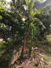 Hoy se realiz&oacute; la Primera Sesi&oacute;n Ordinaria del Consejo Municipal de Paz