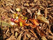 El compostaje como estrategia comunitaria para la protecci&oacute;n de los suelos