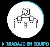 gesti&oacute;n del conocimiento