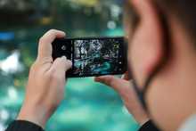 Aprender de manera gratuita con los cursos tecnol&oacute;gicos de la Alcald&iacute;a de Cali, m&aacute;s que una ense&ntilde;anza es una gran oportunidad