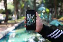 Aprender de manera gratuita con los cursos tecnol&oacute;gicos de la Alcald&iacute;a de Cali, m&aacute;s que una ense&ntilde;anza es una gran oportunidad