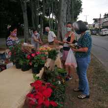 El s&aacute;bado regresan los &lsquo;mercados campesinos&rsquo; en siete puntos de Cali